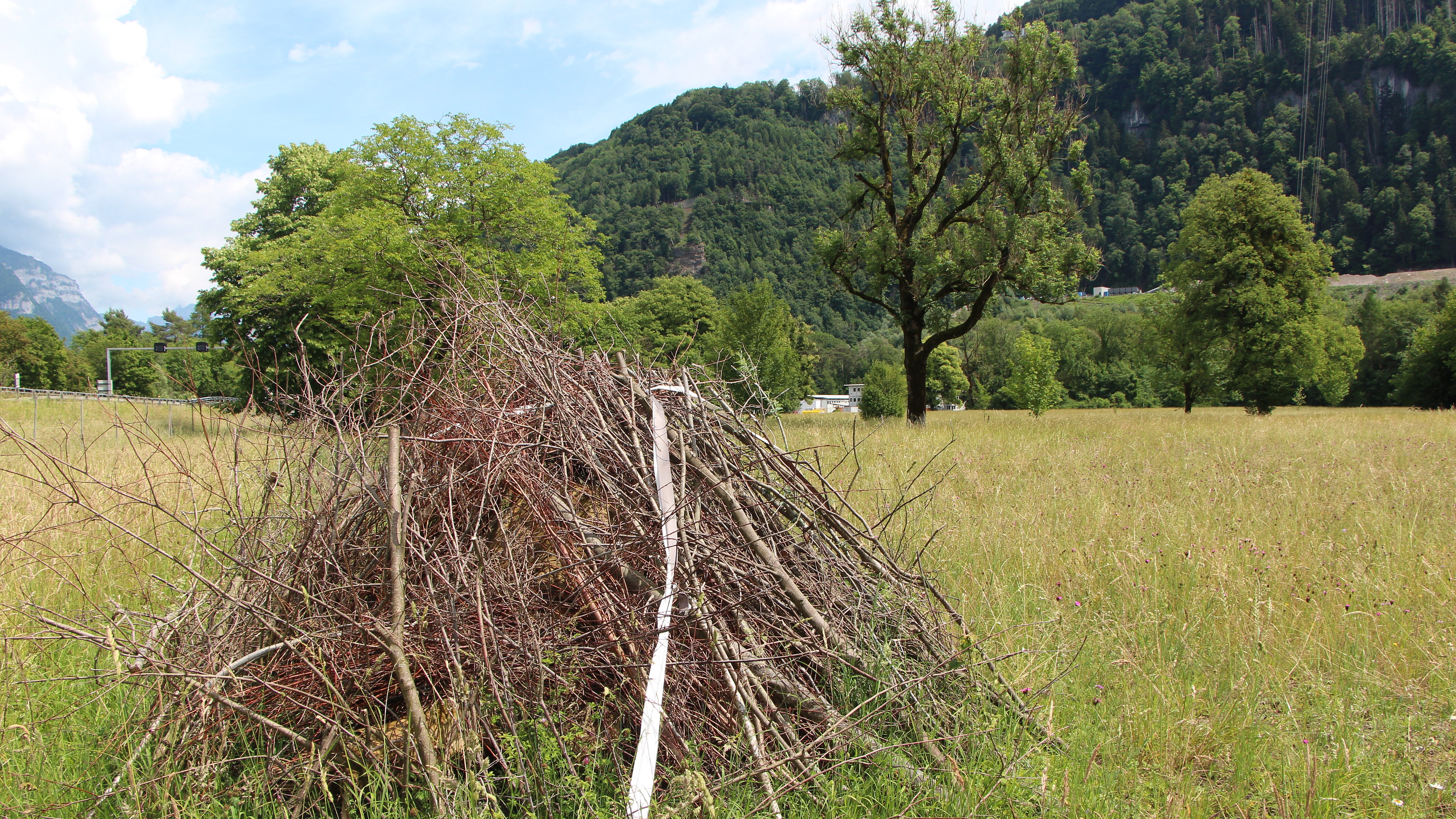 Tas de branches pour la biodiversité