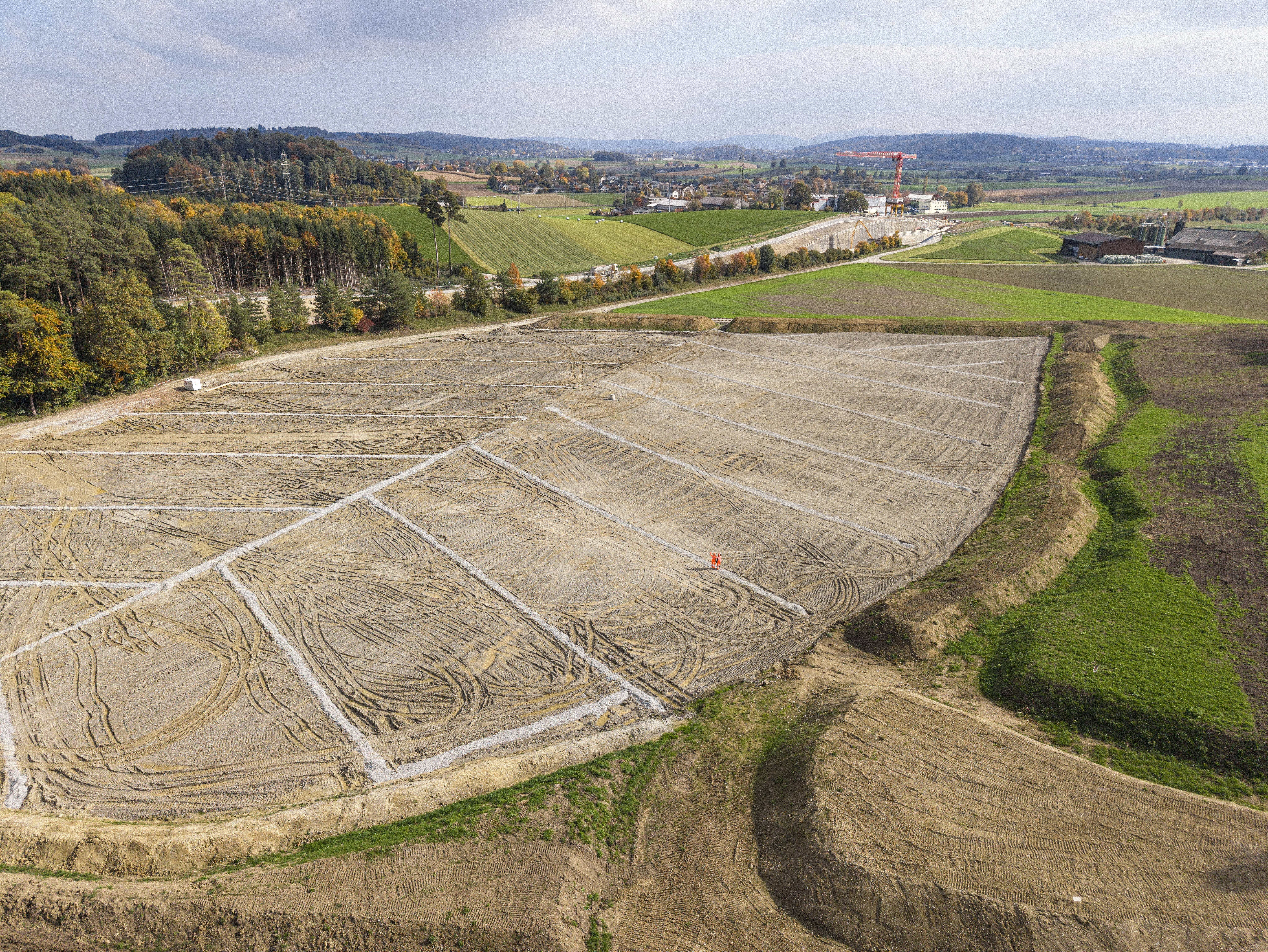 Rohplanie bei Neftenbach