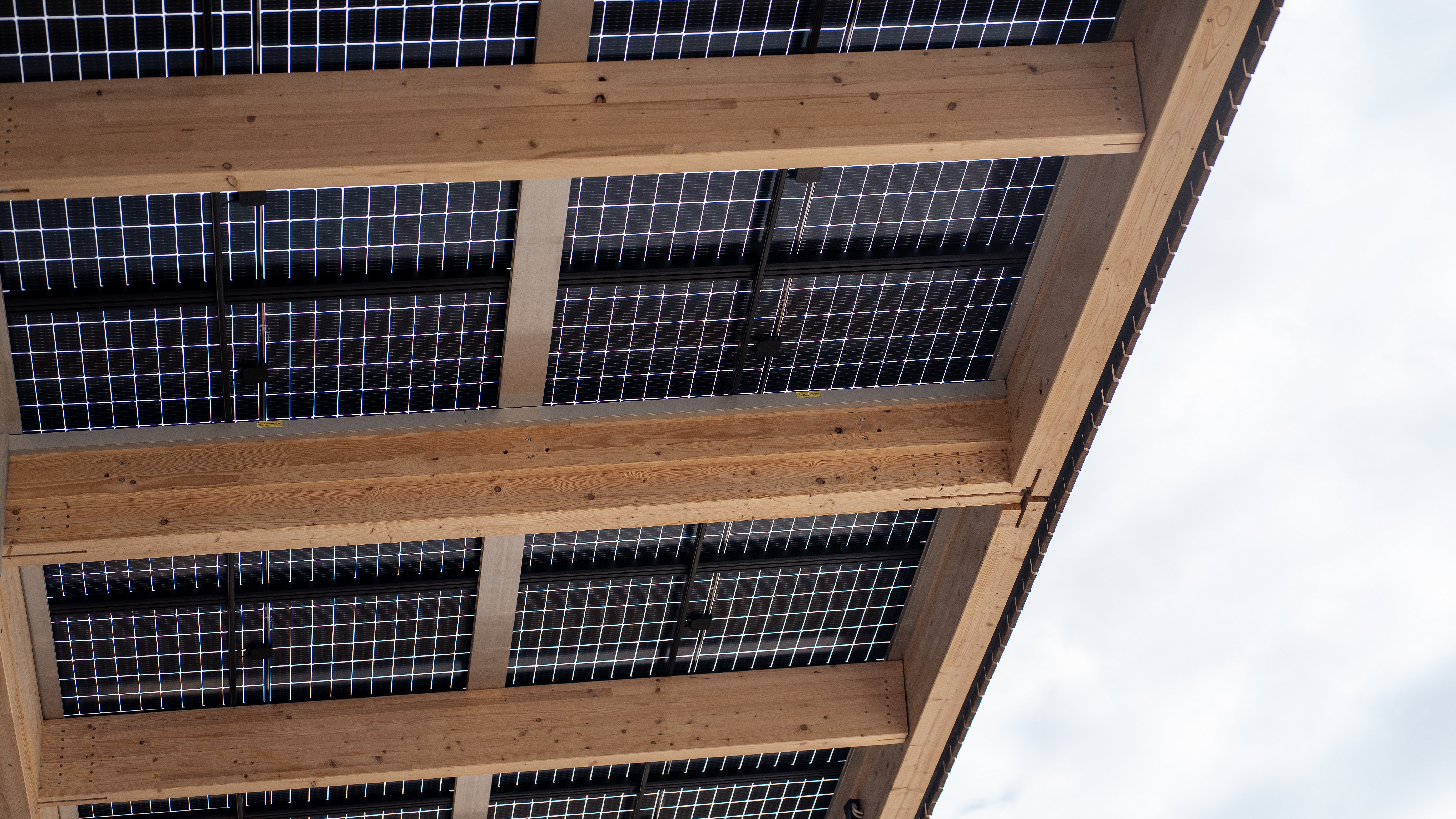 Translucent PV modules on a canopy 
