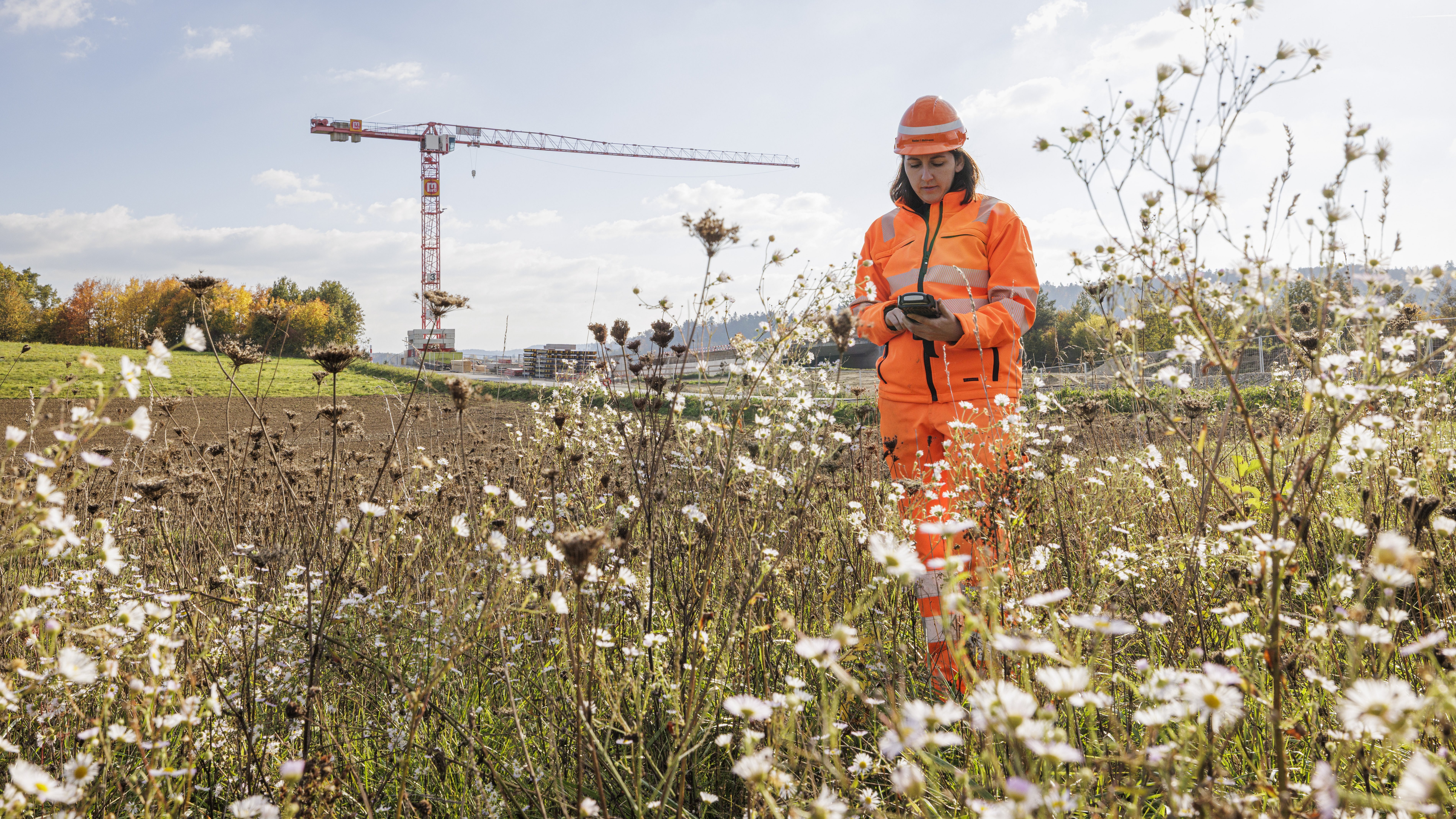 Celine kartiert Neophyten