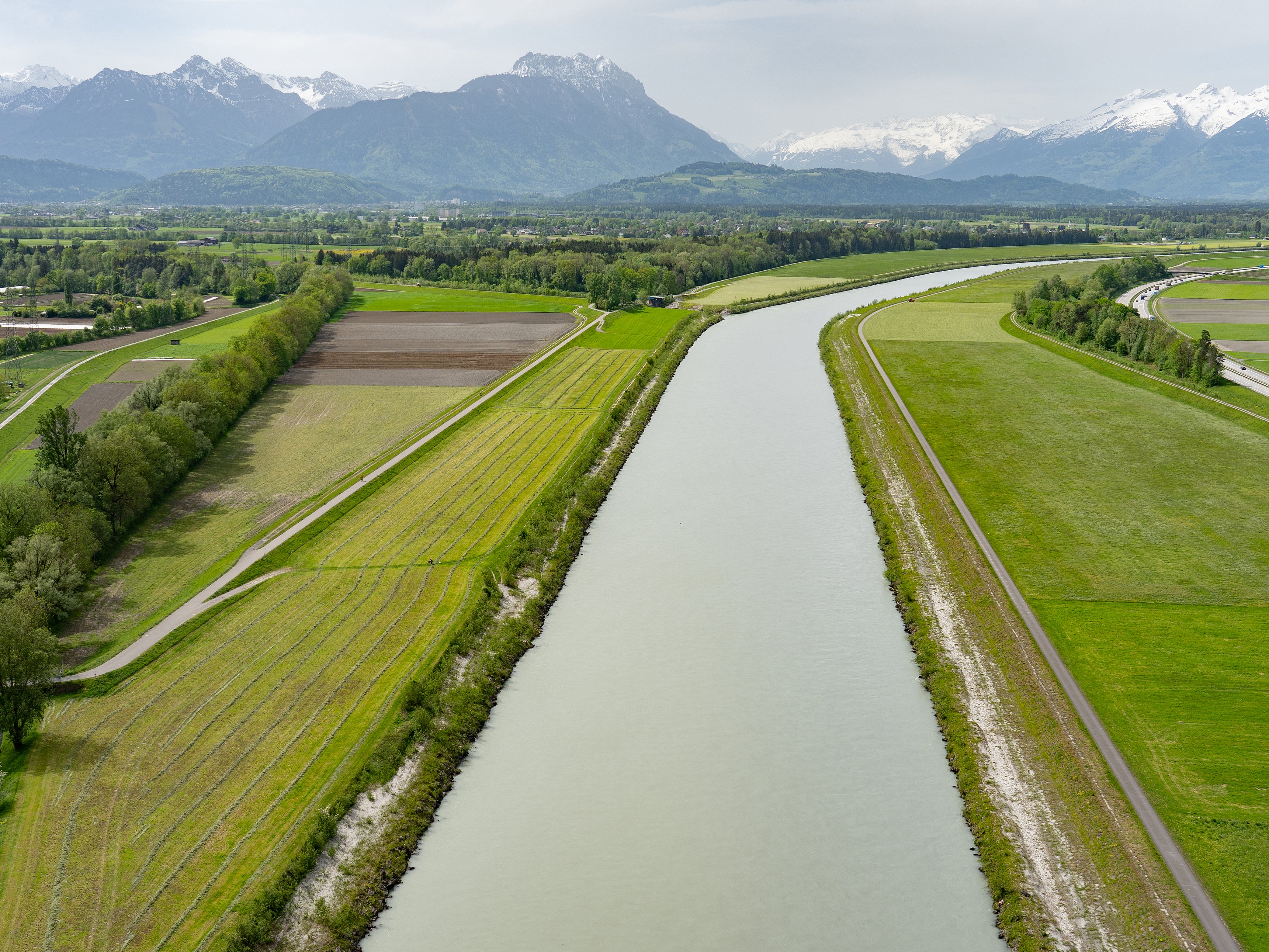 Alpenrhein Frutzmündung