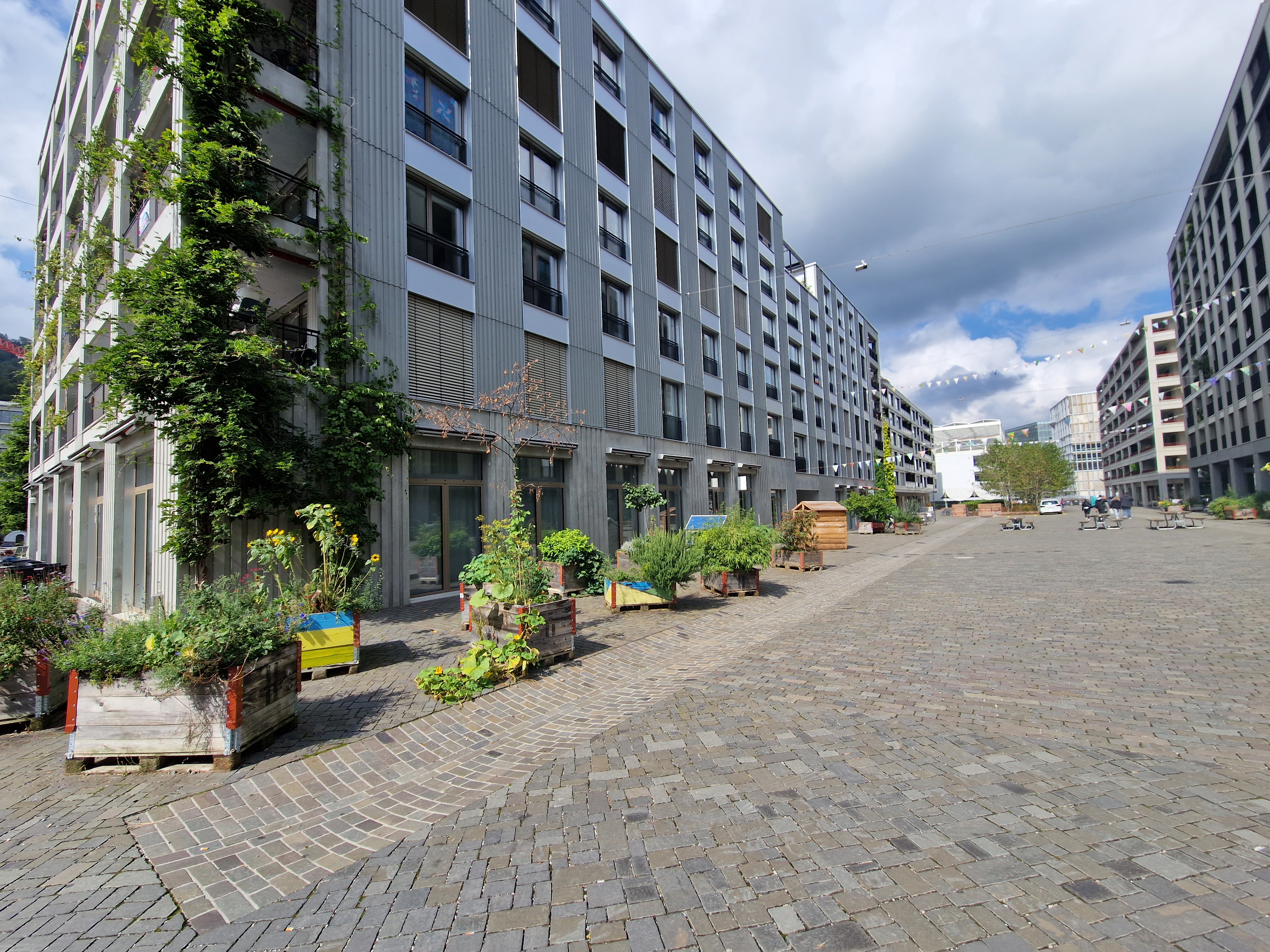 Schwammstadt Greencity Zürich: Rinnen für Regenwasser