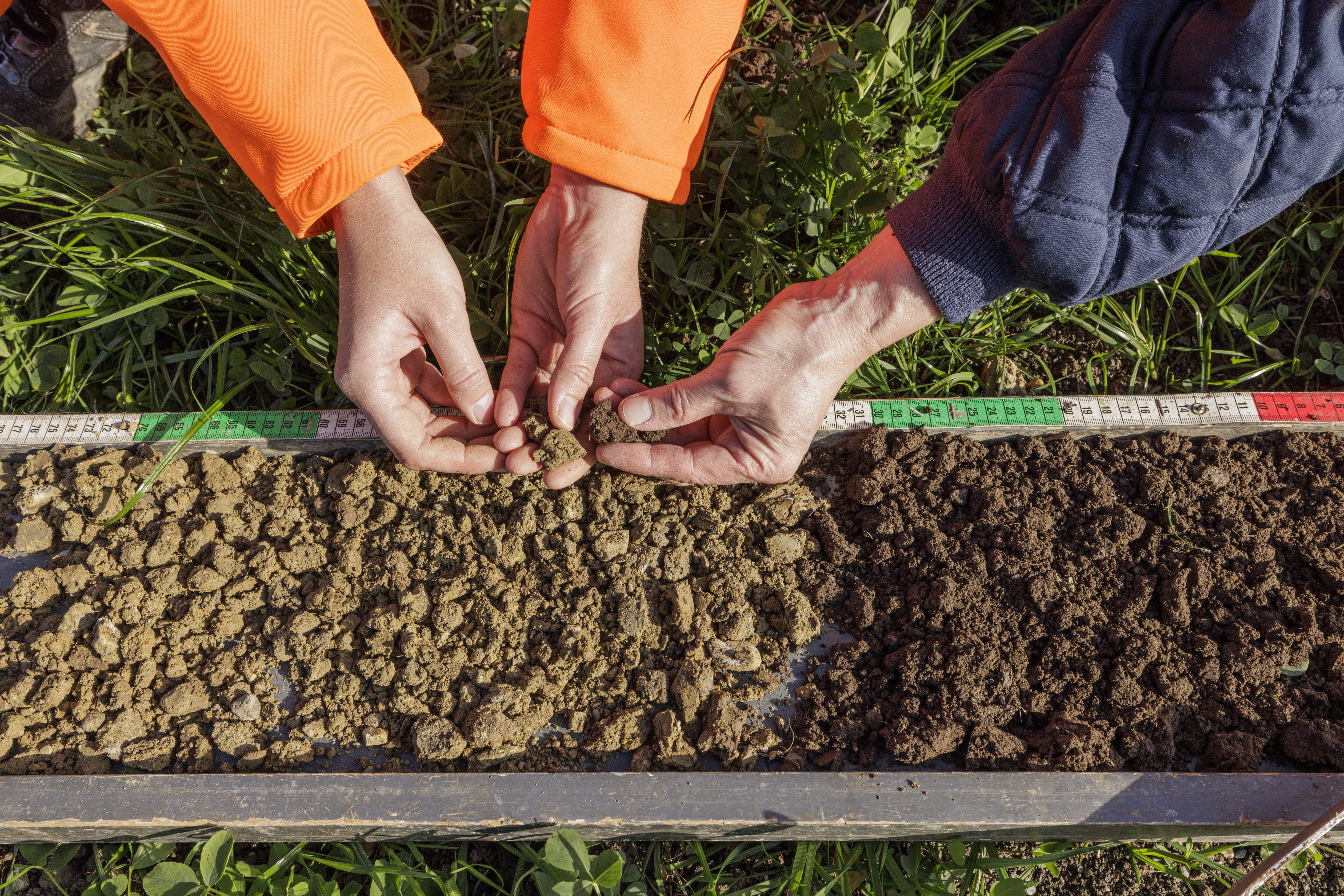 Unterboden und Oberboden bzw. Humus